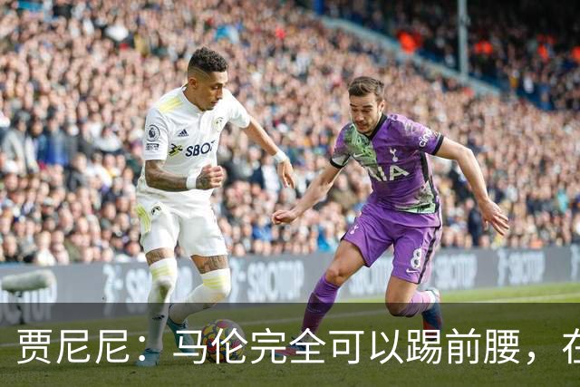 贾尼尼：马伦完全可以踢前腰，在卡斯特罗身后创造机会