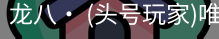 龙八头号玩家